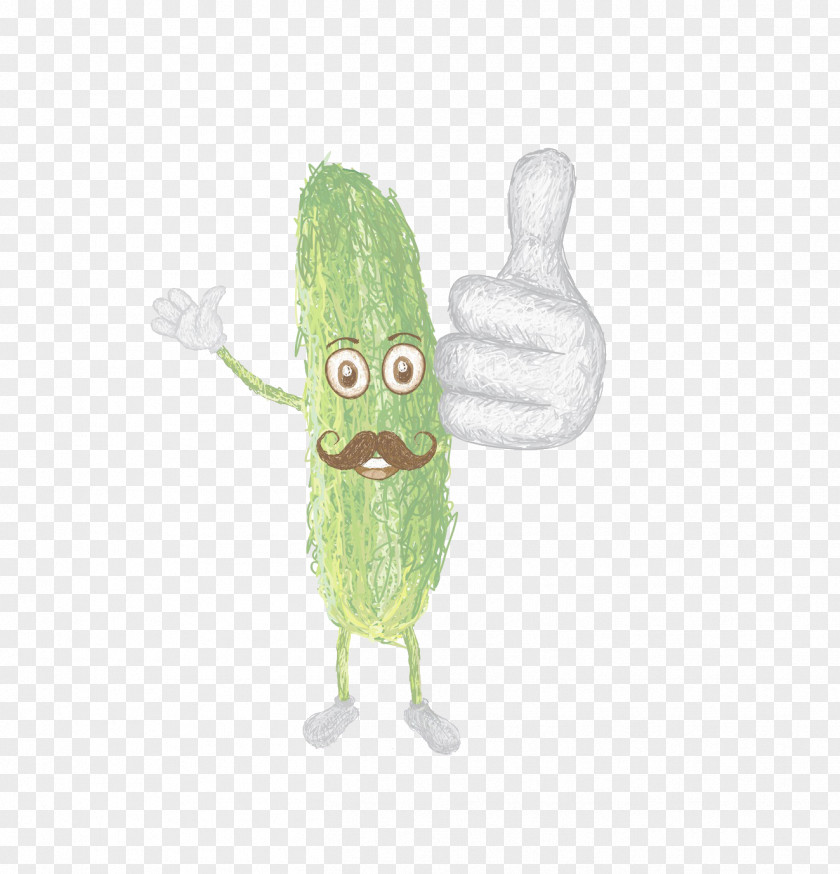 Hand-painted Cucumber Clip Art PNG