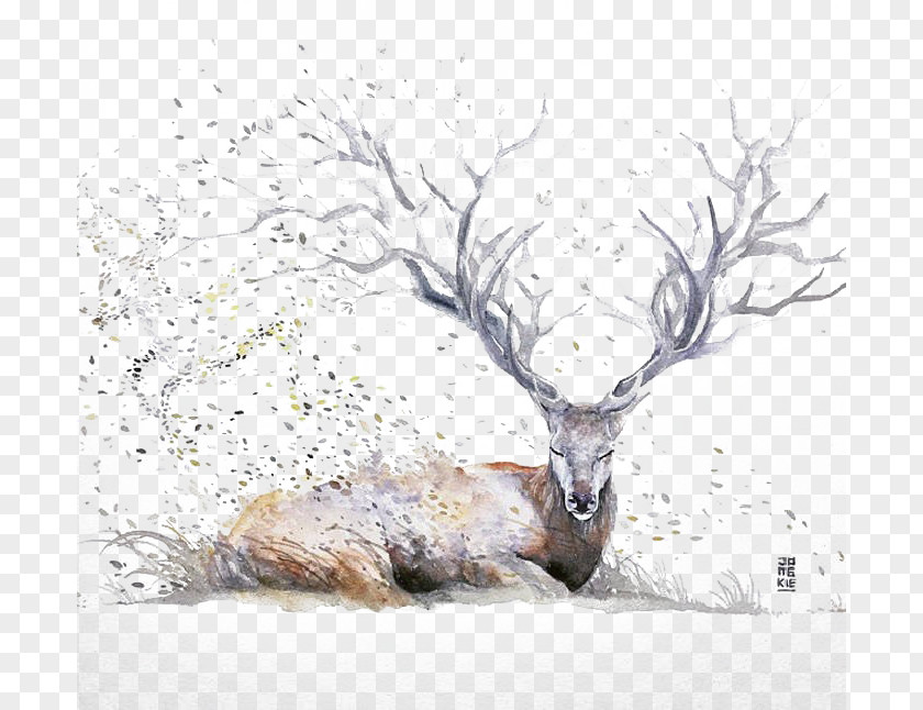 Ink Deer Watercolor Painting Drawing Artist Illustration PNG