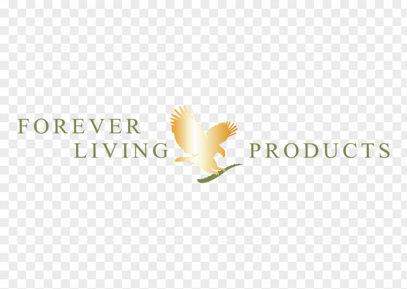 Products Vector PNG