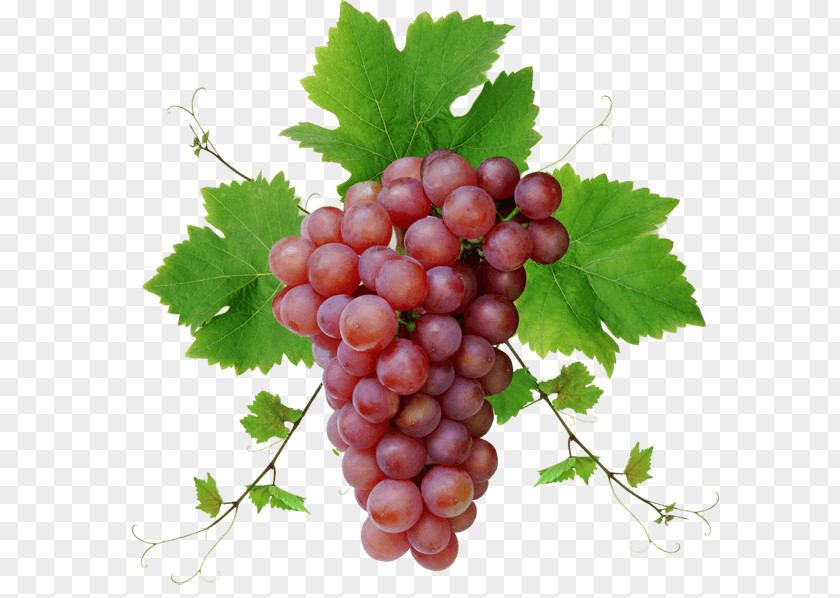 Red Grape With Leaves PNG Leaves, bunch of red grapes clipart PNG