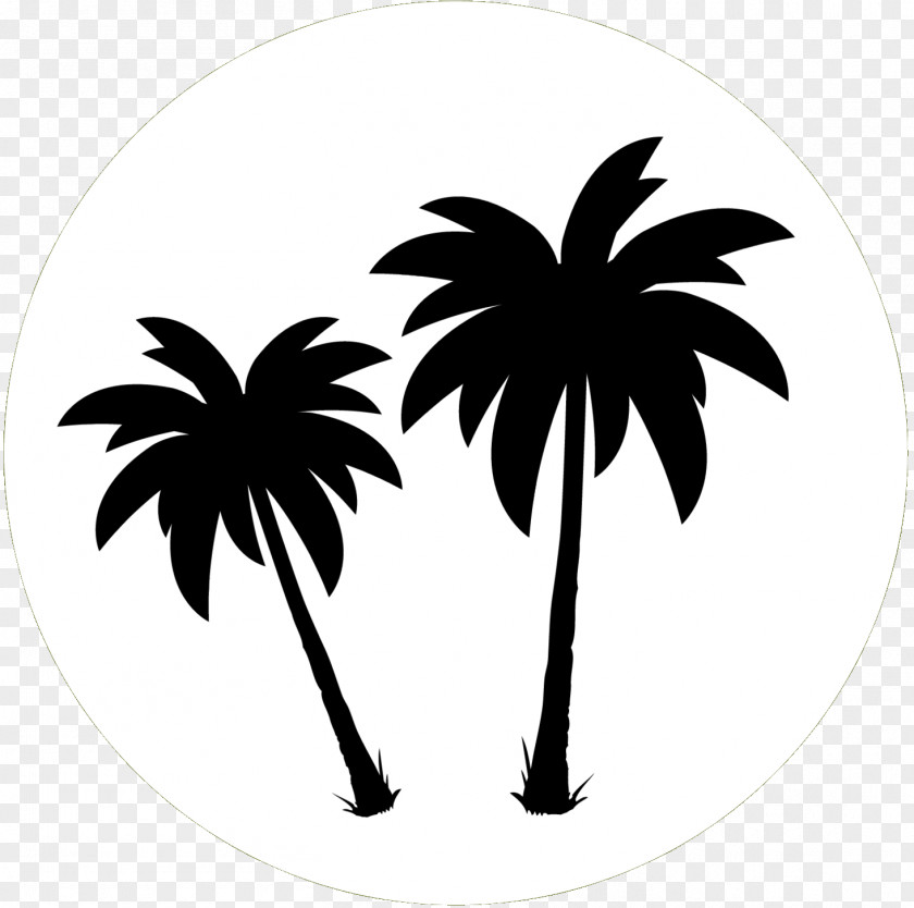 M Silhouette Leaf Palm Trees Clip Art Black & White PNG