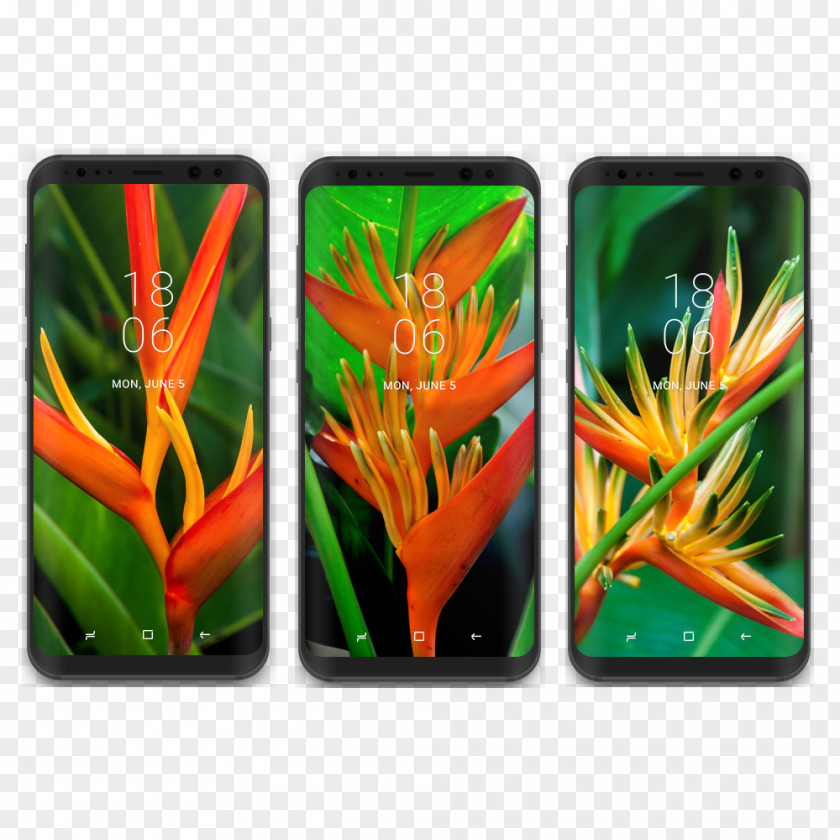 Samsung Galaxy S8+ Desktop Wallpaper Display Resolution PNG