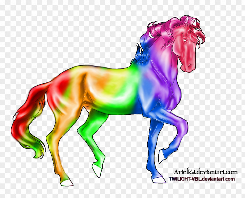 Unicorns Of Love Mustang Mane Pony Stallion Rainbow PNG
