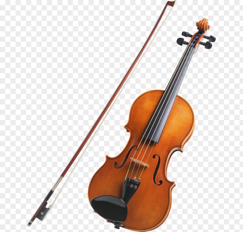 Violin Musical Instrument String Family PNG