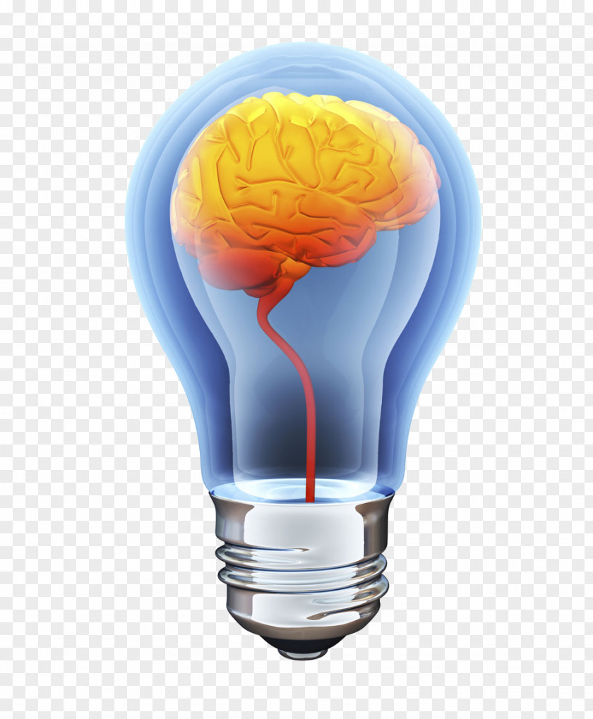 Bulb Element Human Brain Incandescent Light Stock Photography PNG