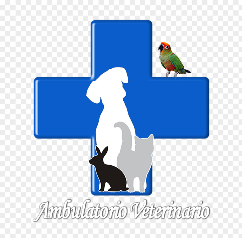 Cat Veterinarian Veterinary Medicine Dog Pet PNG