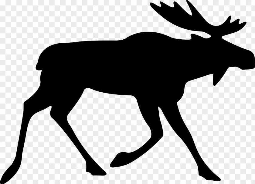 Deer Elk Drawing Clip Art PNG