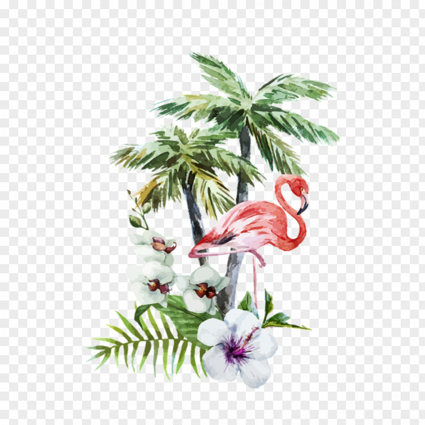 Flamingo Stock Illustration Vector Graphics Wallpaper Design PNG