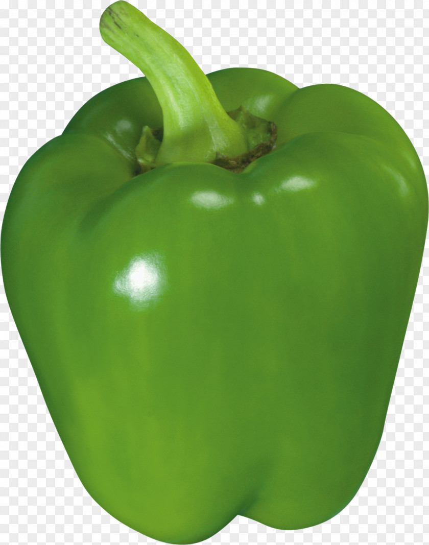 Green Pepper Image Bell Chili Jalapeño PNG