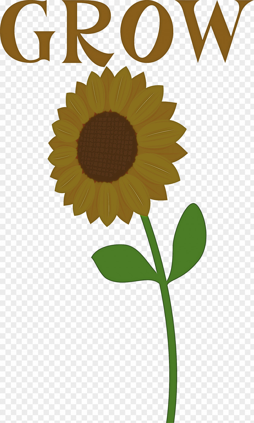 GROW Flower PNG