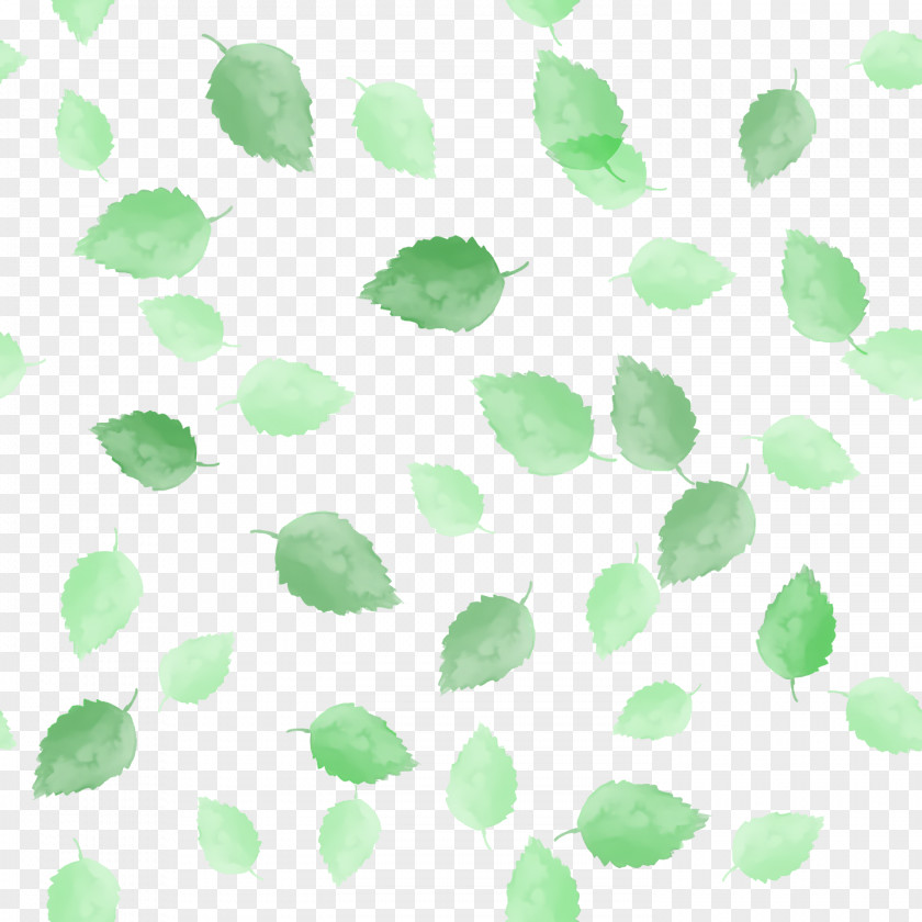 Leaf Green Pattern Line Meter PNG