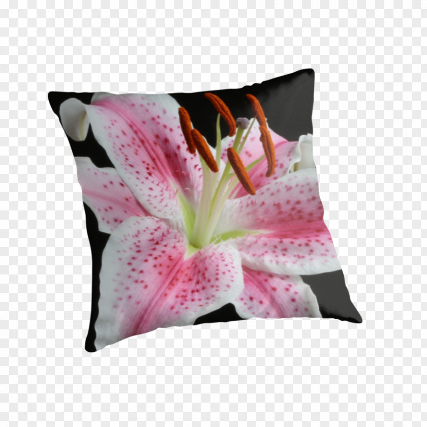 Pillow Throw Pillows Cushion Lily 'Stargazer' Lilium PNG