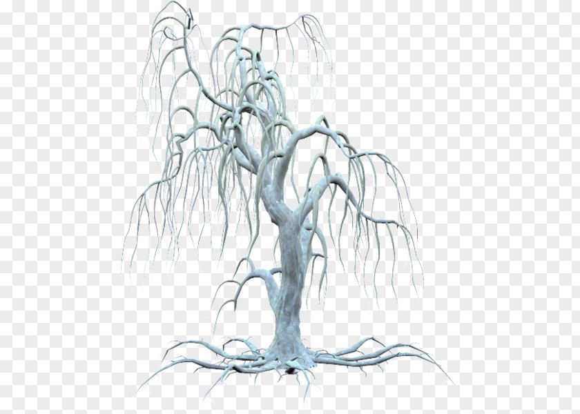 Tree Twig Trunk PNG