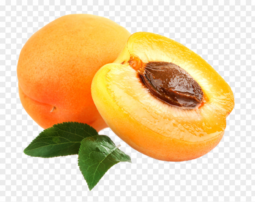 Apricot Cancer Kernel Amygdalin Cure PNG