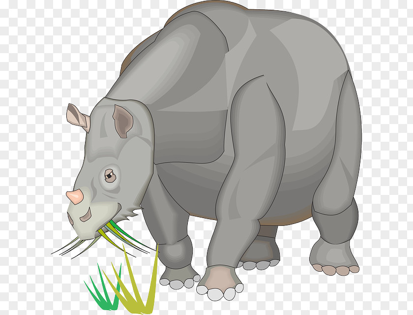 Bear Rhinoceros Clip Art PNG