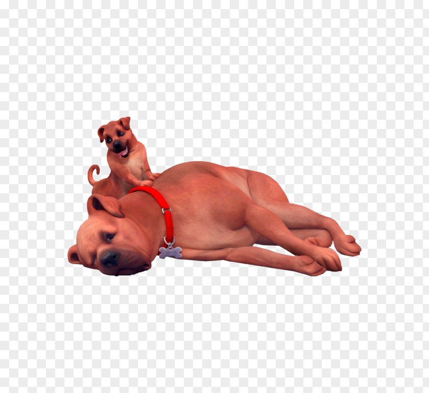Cat The Sims 4: Cats & Dogs St. Bernard PNG