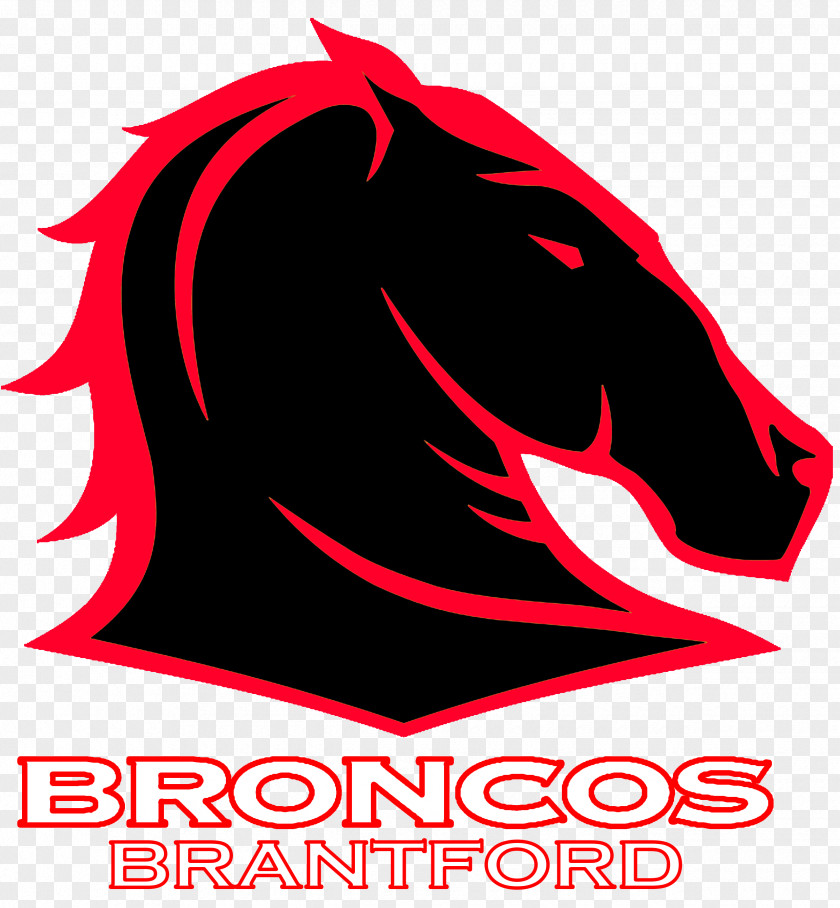 Design Logo Brisbane Broncos Graphic Font PNG