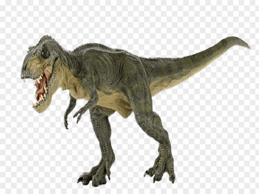 Dinosaur Tyrannosaurus Stegosaurus Brachiosaurus Giganotosaurus PNG