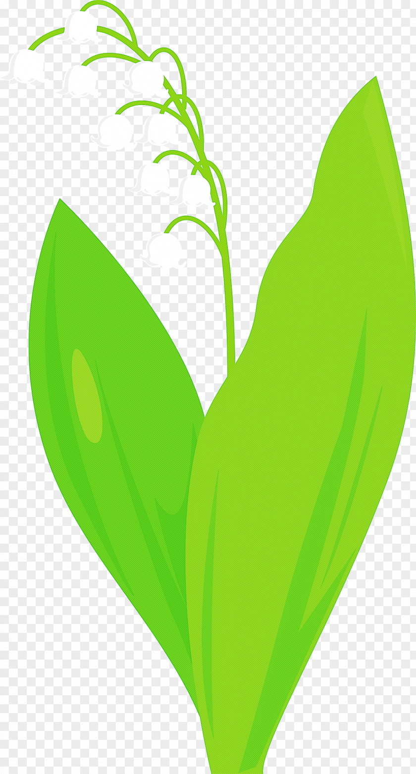 Lily Bell Flower PNG