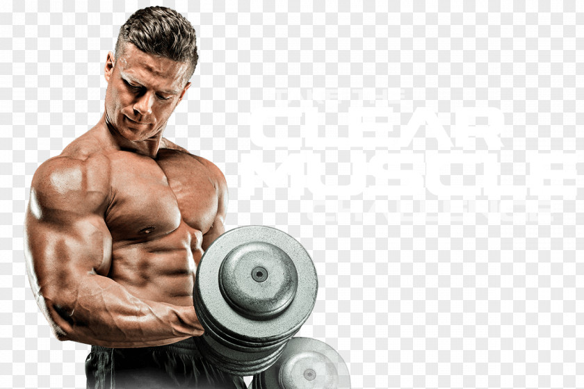 Muscle Bodybuilding Desktop Wallpaper Fitness Centre PNG