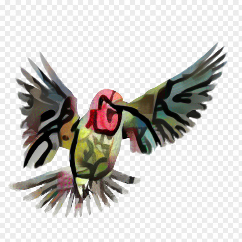 Perching Bird Hummingbird Wing PNG