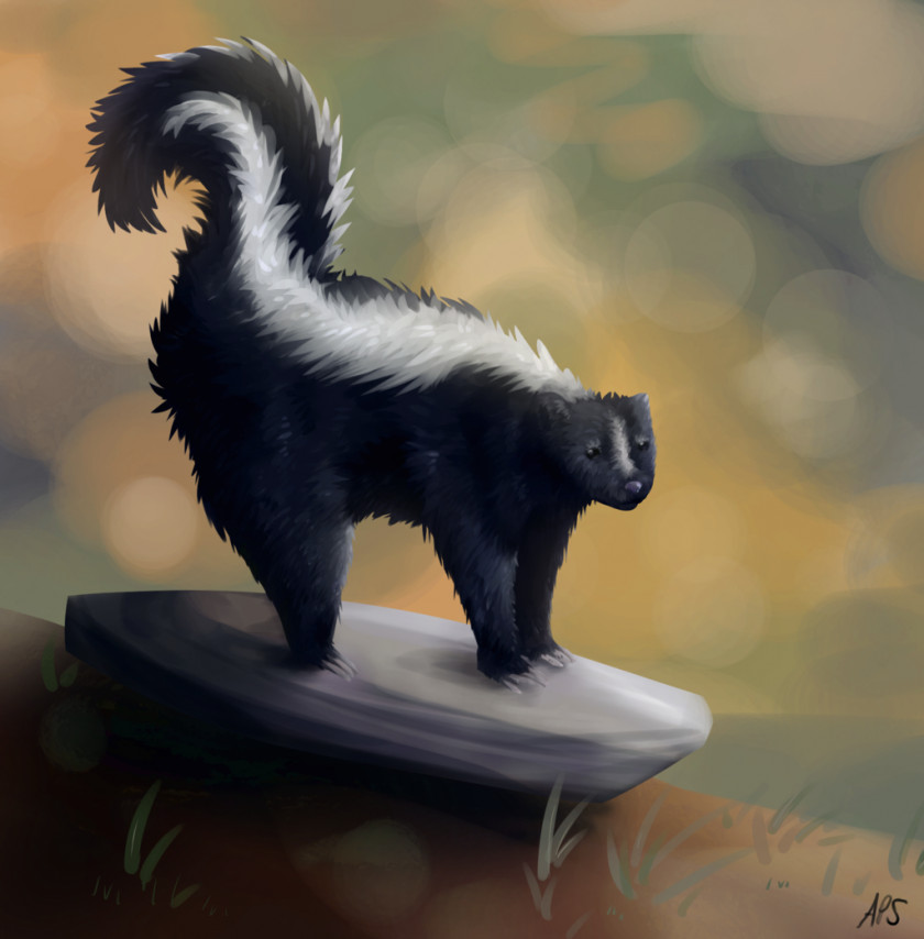 Skunk Drawing DeviantArt Digital Art Animal PNG