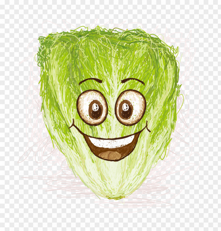 Smile Jun Cabbage Lettuce Cartoon Illustration PNG