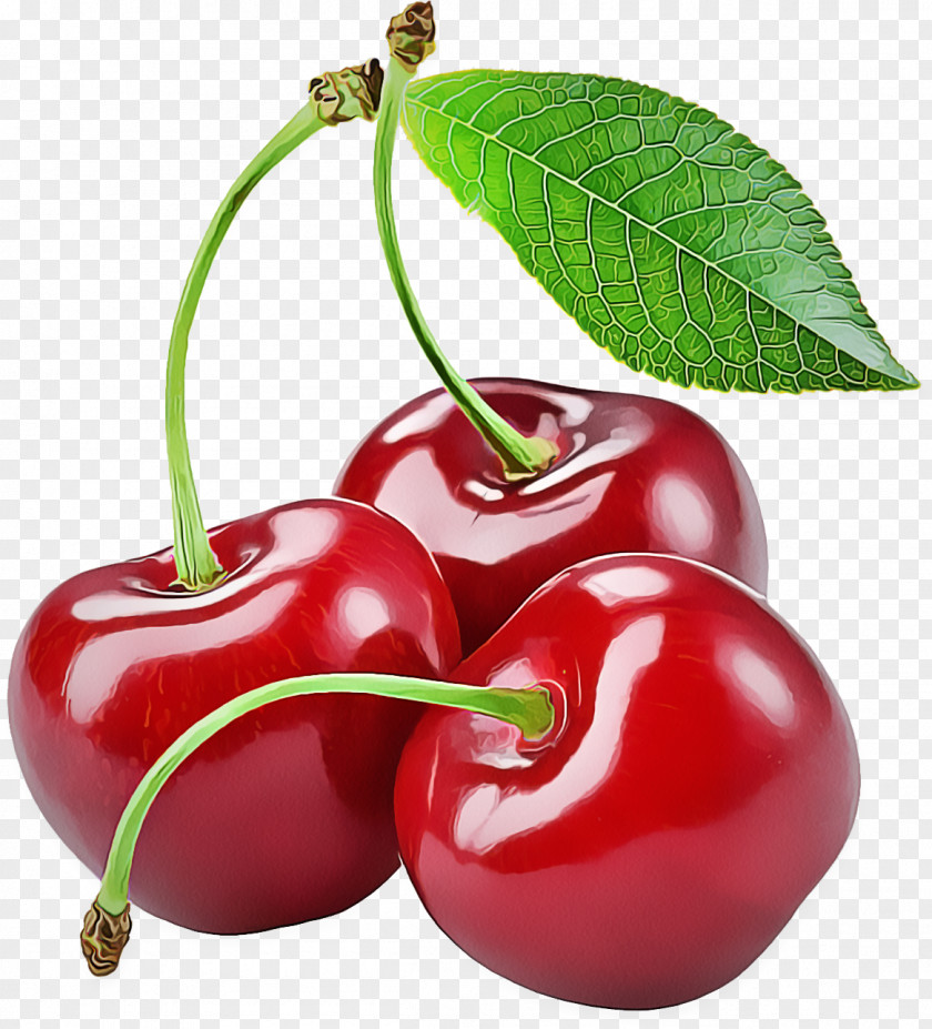 Woody Plant Flowering Cherry Fruit Natural Foods Food PNG