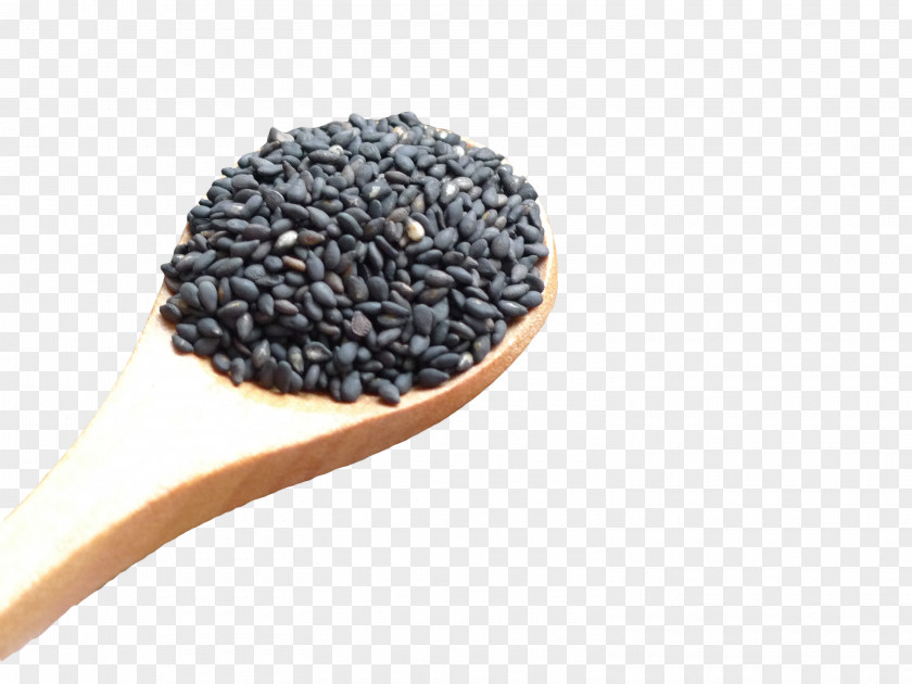 A Spoon Of Sesame Seeds Cuisine Tahini Food Alkaline Diet PNG