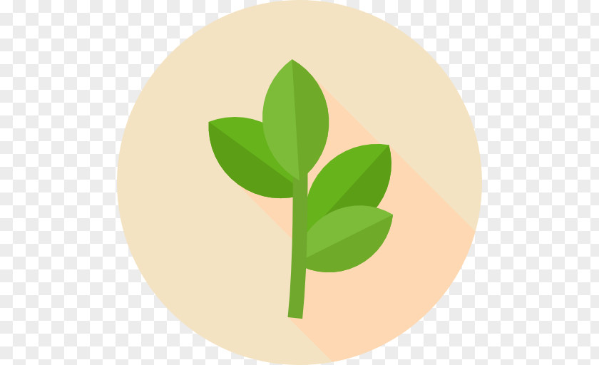 Cebada Genetics Marijuana Leaf Hybrid Plant PNG