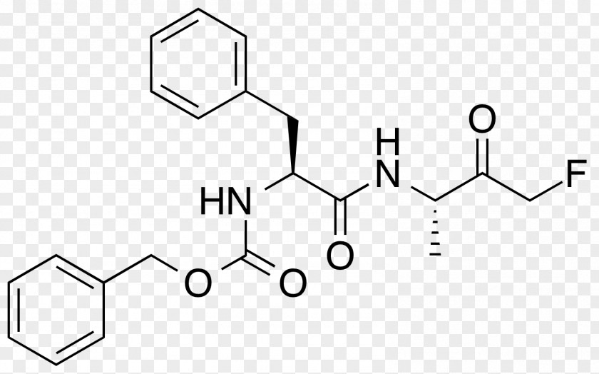 Fa Albuterol Drug Metabolism CYP2D6 Pharmaceutical PNG
