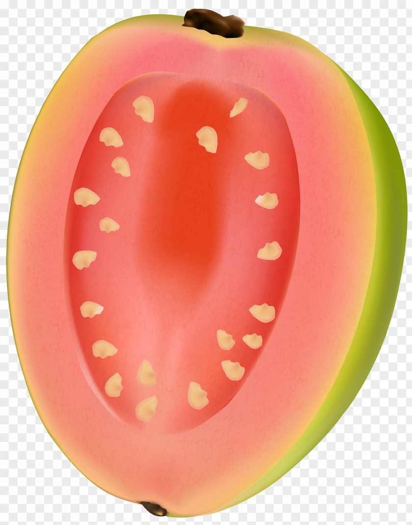 Guava Fruit Clip Art PNG