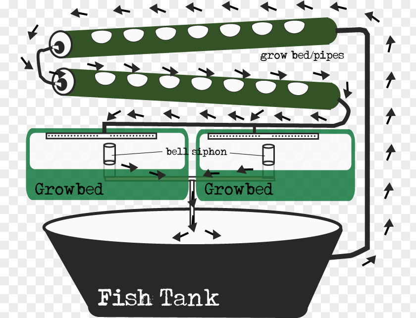 Lettuces Aquaponics Ebb And Flow Hydroponics Gravity Feed Siphon PNG