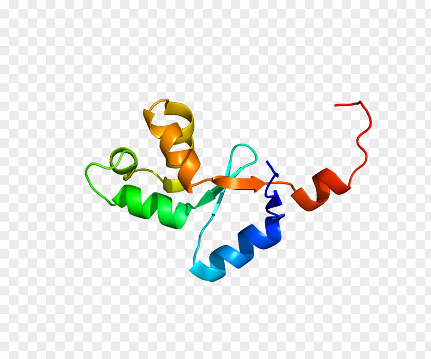OCA2 Hect Domain And RLD 2 Gene Protein Mutation PNG