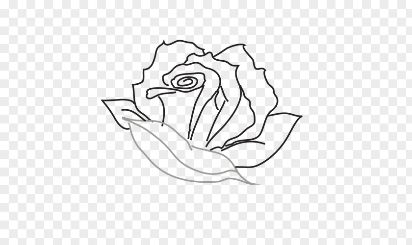 Rose Drawing Watercolor Clip Art Illustration Line Sketch Design PNG