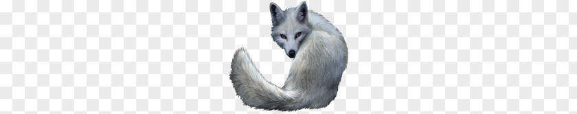 Arctic Fox PNG fox, gray wolf clipart PNG