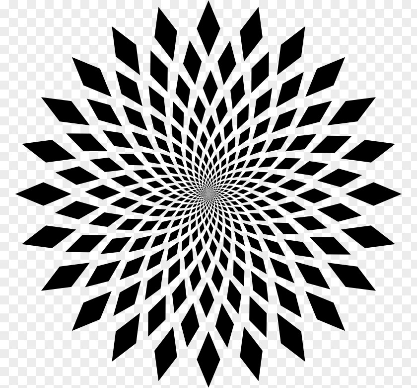 Awesome Optical Illusions Optics PNG