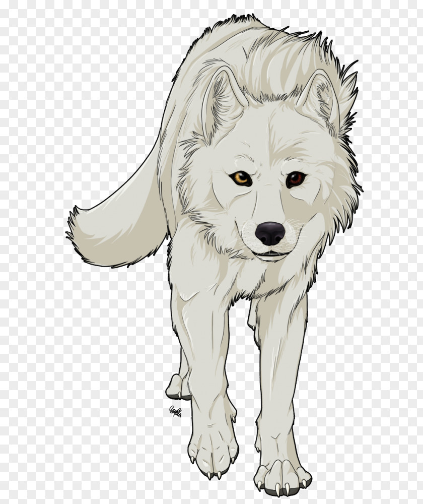 Cartoon Wolf Gray Drawing Jackal PNG