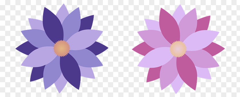 Floral Design PNG