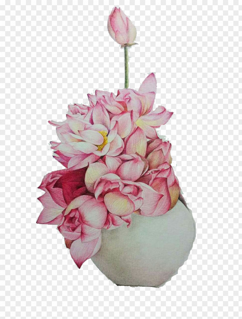 Free Pink Lotus Pull Material Garden Roses Centifolia Nelumbo Nucifera Flower Bouquet Paper PNG