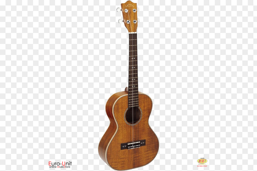 Guitar Ukulele Twelve-string Acoustic Acoustic-electric PNG
