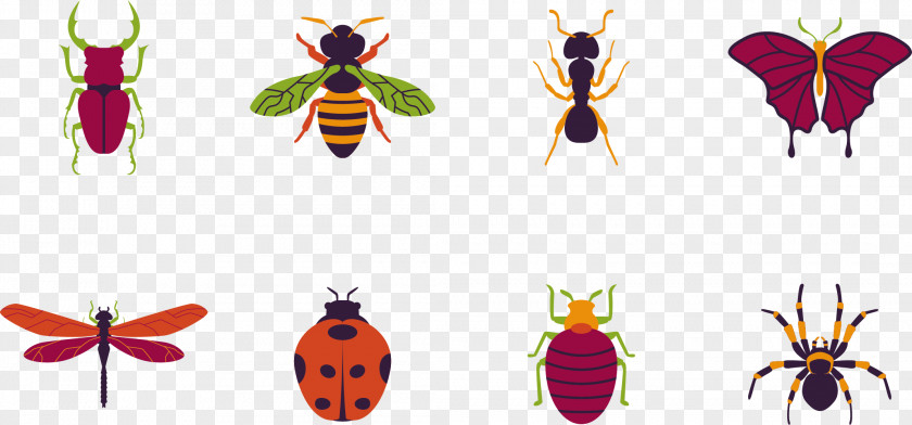 Mosquito Killing Insect Butterfly Beetle PNG