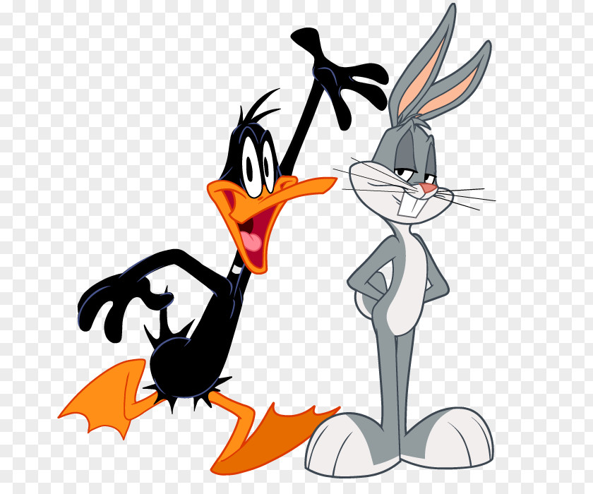 Dvd Witch Lezah Clip Art Looney Tunes Cartoon Sam Sparks PNG