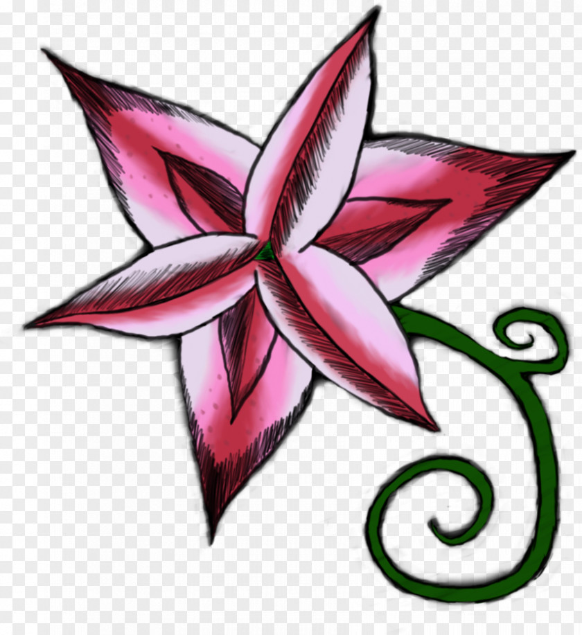 Line Petal Art Drawing Clip PNG