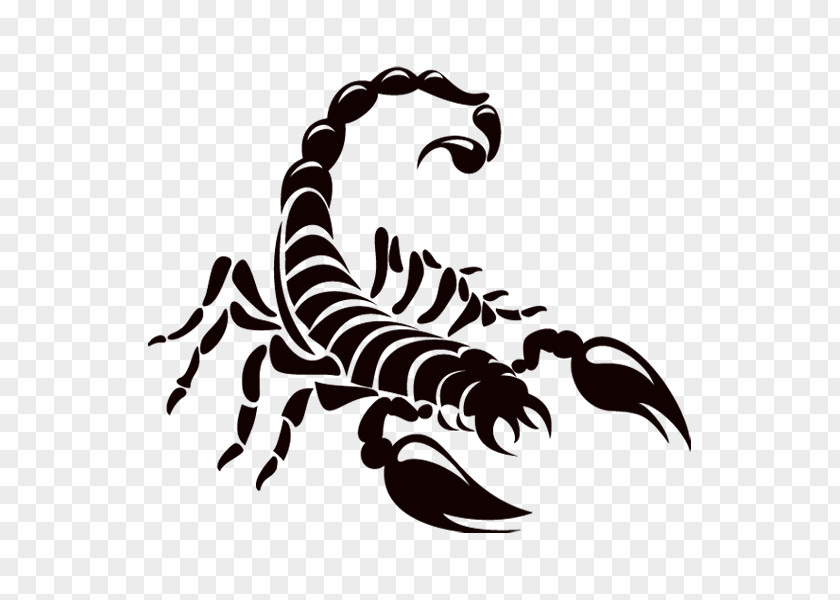 Scorpions Scorpion Logo Drawing PNG