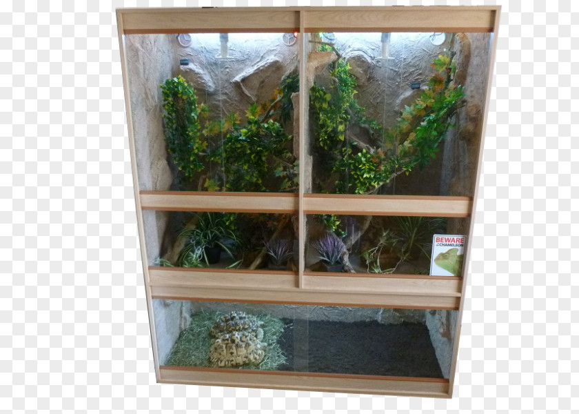 Vivarium Terrarium Reptile Cage Chinese Water Dragon PNG