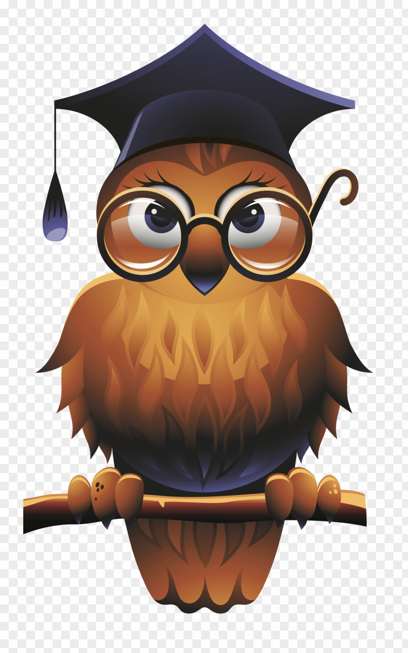 Wise Man Owl Square Academic Cap School Teacher PNG