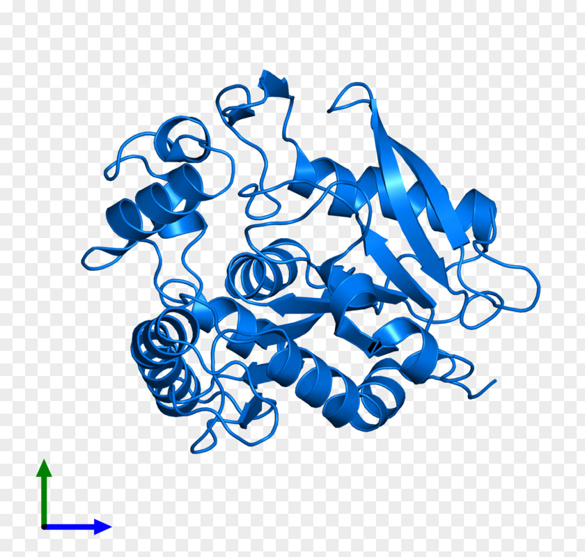 Diacylglycerol Product Design Illustration Clip Art Organism PNG