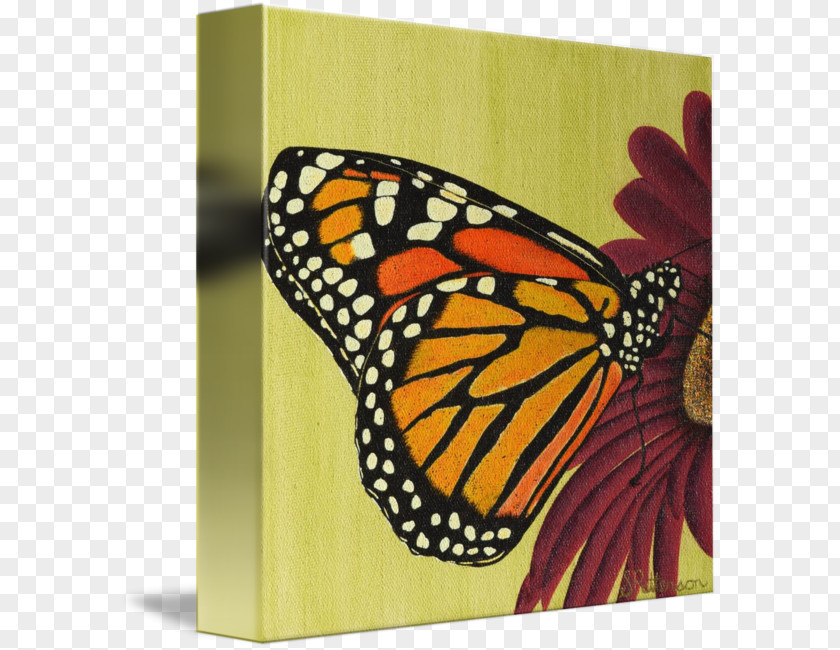 Glossy Butterflys Monarch Butterfly Pieridae Painting Art PNG