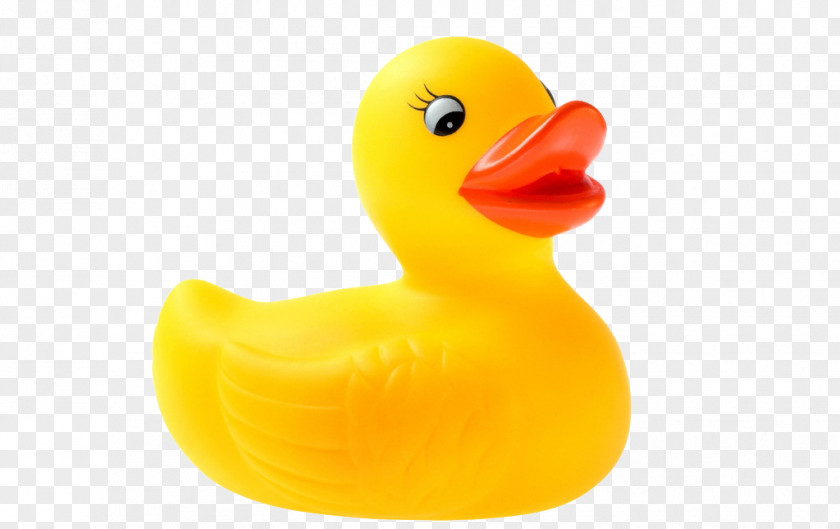 Cute Little Yellow Duck Toy Project Rubber PNG